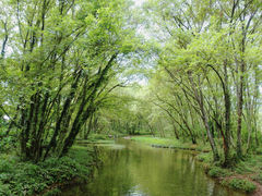 -西溪南古村落景区