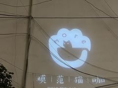 -More Fun猫咖 二十只万元加菲主题