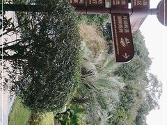 -汇雅温泉