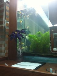 IMG_7051-小左美发