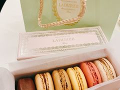 -Pierre Marcolini(德基广场店)