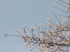 -西安外国语大学(长安校区)