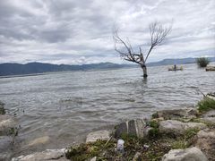 -大理洱海