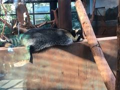 -昆明动物园