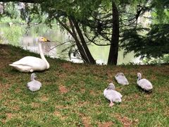 -银树楼(紫玉山庄东区店)