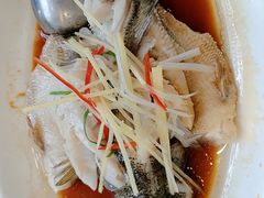 -印象泰和园(望丛西路店)