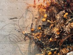 -villaa·别墅·融合菜西餐厅