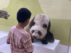 -国家自然博物馆