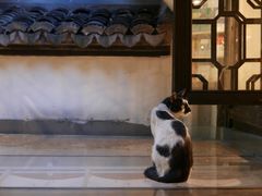 -猫的天空之城概念书店(杭州南宋御街店)