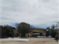 -朱家尖南沙景点