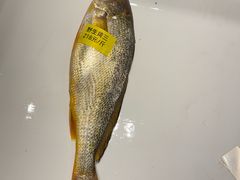 -龙宴海鲜城(经中路店)