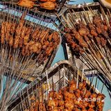 🔥值得N刷‼️十年不涨价的特色烤肉🥩‼️爱了[亲亲]