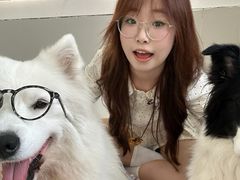 -汪说·狗咖·拼豆·宠物周边DIY(旺城大厦店)