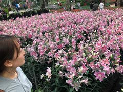 -长春农博园