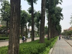 -清华大学-清芬园