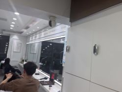 -镁连社·美联社
