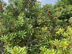 -梁鸿国家湿地公园