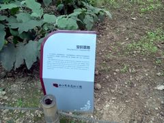 -西安曲江寒窑遗址公园