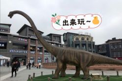 -恐龙探索乐园(磁器口店)