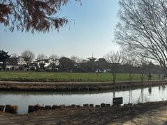 -广富林郊野公园