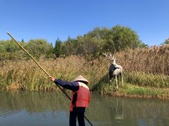 -溱湖国家湿地公园