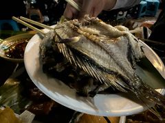 -杨合林啊兰烤鱼