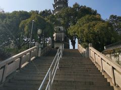 -苏州上方山国家森林公园