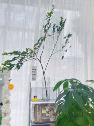 -金禧化妆造型工作室(市桥地铁站店)