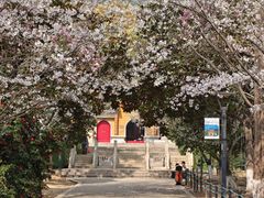 -宝岩生态观光园