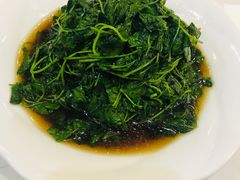 -海金滋(陕西南路店)