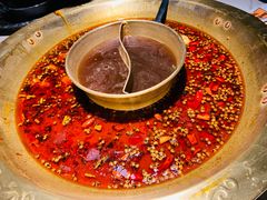 -哥老官重庆美蛙鱼头(宝山龙湖店)