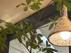 -gaga(深圳南山益田假日广场店)