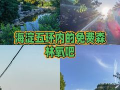 -北京西山国家森林公园