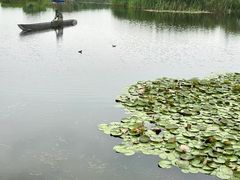 -良渚古城遗址公园