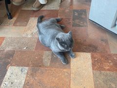 -Me Coffee下午茶艺术空间