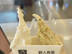 -野人先生现做冰淇淋(北京王府井东方新天地店)