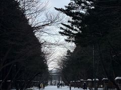 景点-北海道神宫