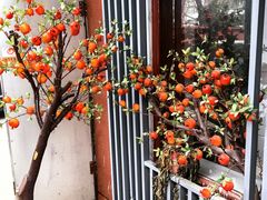 -蜀阳餐厅·金牌水煮鱼