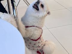 -怪兽屋·羊驼·猫咖·狗咖(俊华广场店)