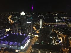 -新加坡瑞士史丹福酒店