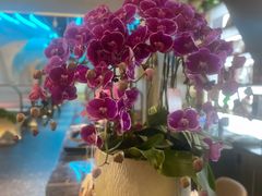 -曼格纳·曼芯馆(杨浦店)