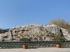 -北京西山国家森林公园