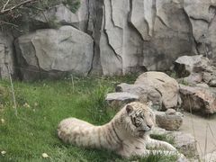 -北京野生动物园