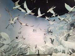 -中国湿地博物馆