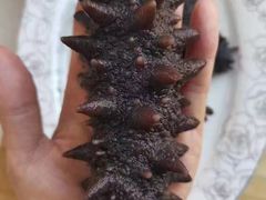 -宫品海参专卖店(黄浦老西门店)