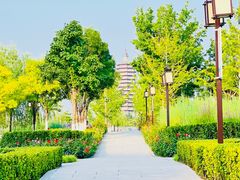 -西海子公园