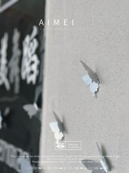 -艾美舞蹈工作室