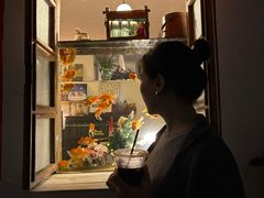 -溪岸路花鸟市场