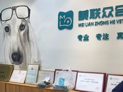 -美联众合动物医院·24h转诊中心