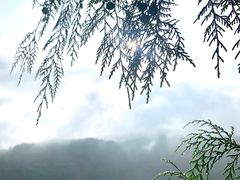 -山王坪喀斯特国家生态公园
